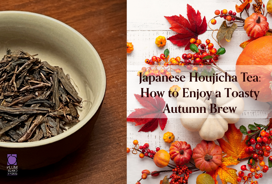 Japanese Houjicha Tea: How to Enjoy a Toasty Autumn Brew. Japanese houjicha tea with pumpkins and autumn leaves