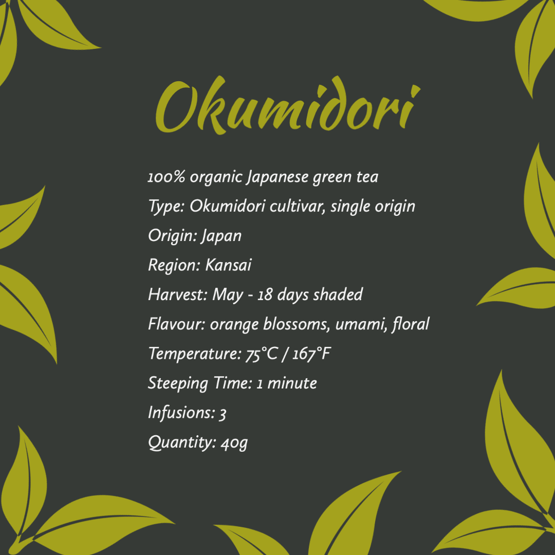 Plum Island Imports™ Okumidori Green Tea - Plum Island Imports